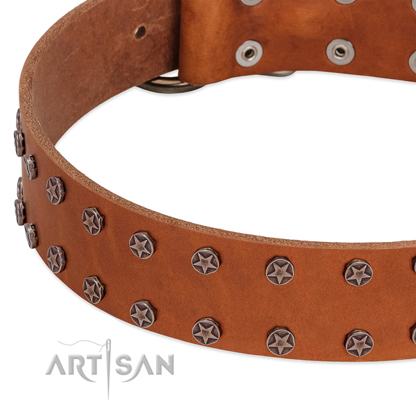 High quality genuine leather dog collar with adornments for your canine