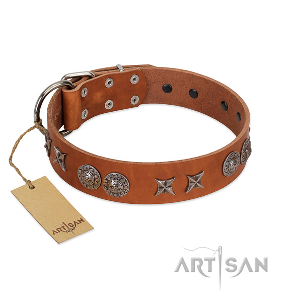 Genuine leather collar with extraordinary studs for your four-legged friend