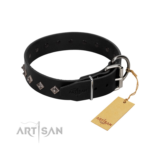 Natural leather dog collar with significant studs for your doggie