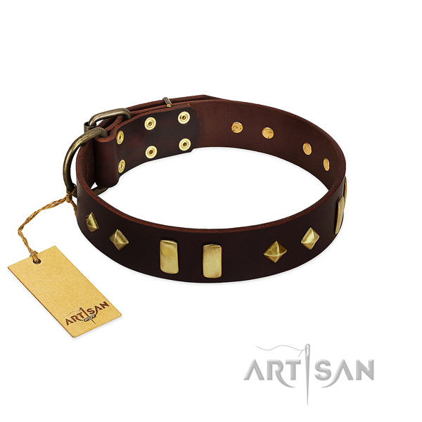 Genuine leather dog collar with reliable traditional buckle for daily walking