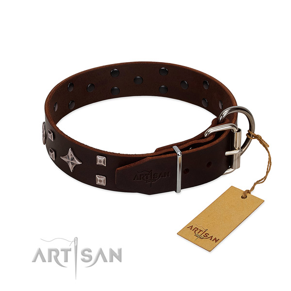 Exquisite full grain leather collar for your dog stylish walks