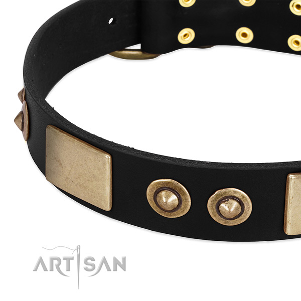 Corrosion proof fittings on leather dog collar for your doggie