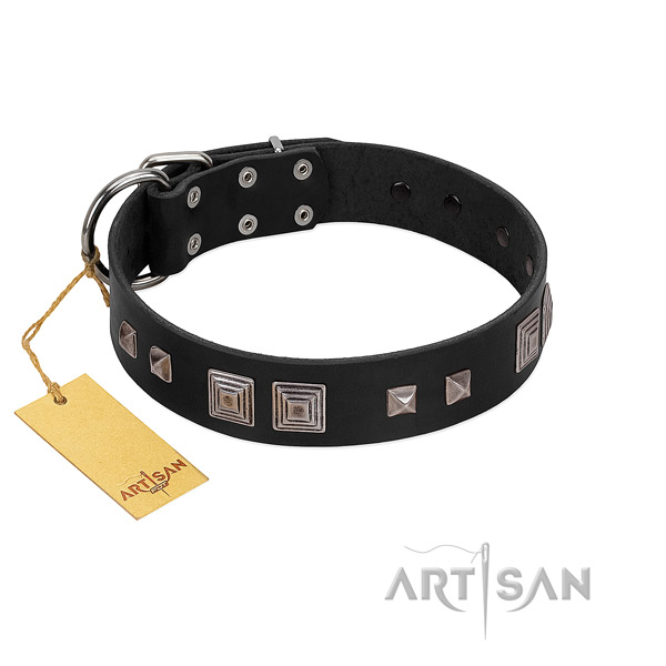 Embellished full grain leather collar for your beautiful four-legged friend