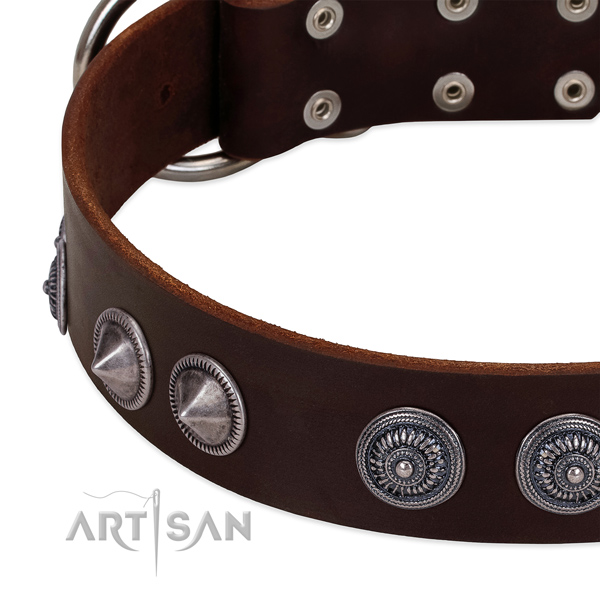 High quality genuine leather dog collar with stunning adornments