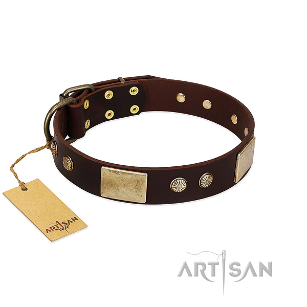 Easy wearing full grain genuine leather dog collar for stylish walking your dog