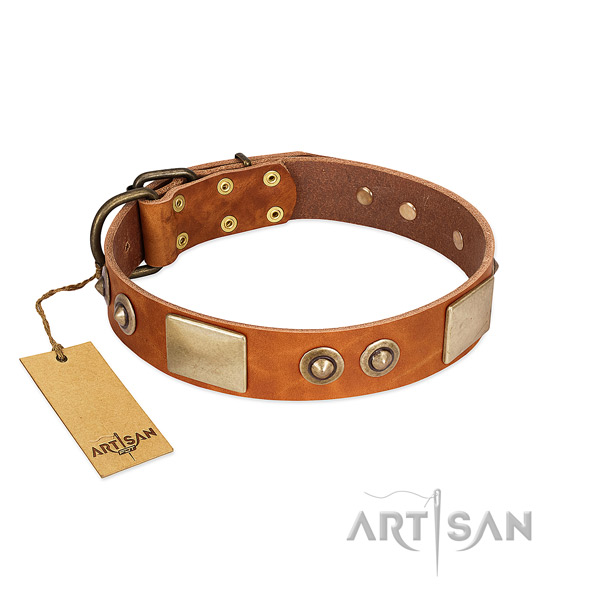 Adjustable leather dog collar for daily walking your dog