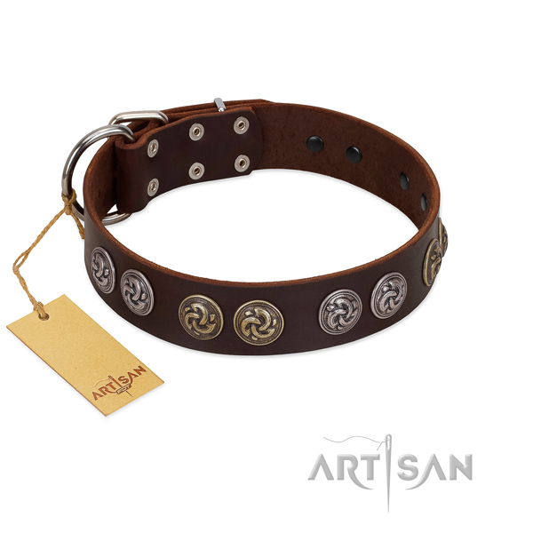 Durable fittings on fashionable genuine leather dog collar