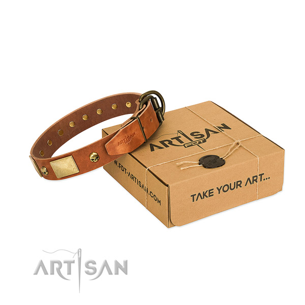 Gentle to touch genuine leather collar with rust-proof embellishments for your canine