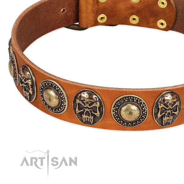 Strong embellishments on natural leather dog collar for your canine