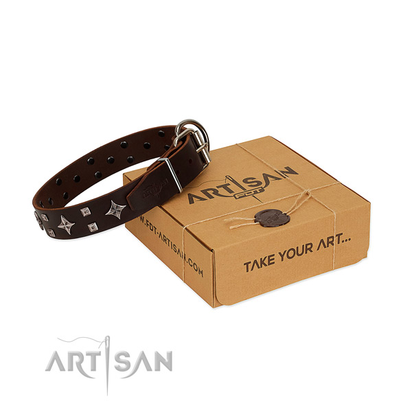 Amazing full grain natural leather collar for your four-legged friend walking