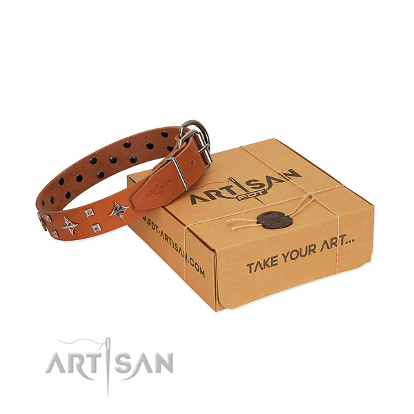 Stunning full grain genuine leather collar for your canine everyday walking