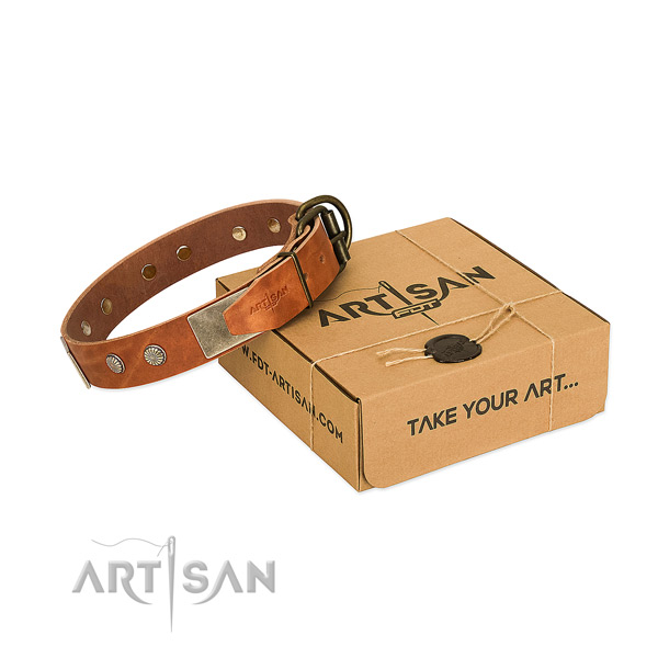 Rust-proof embellishments on dog collar for everyday use