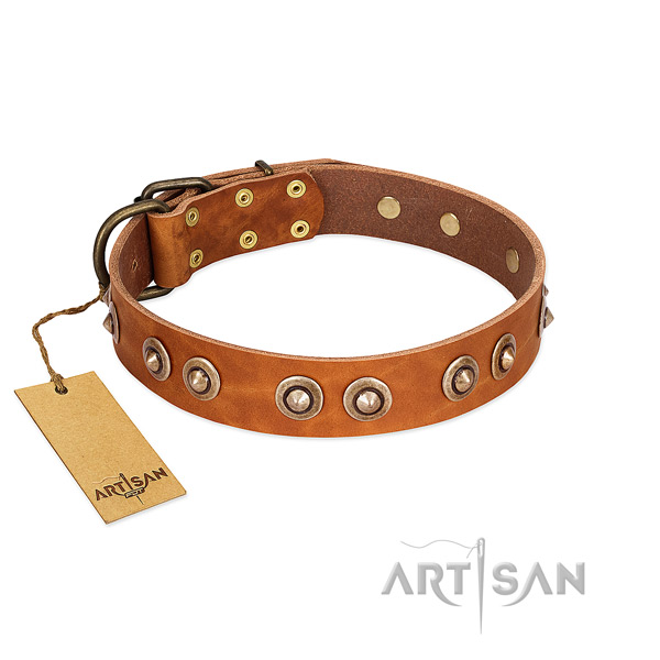 Corrosion proof adornments on genuine leather dog collar for your canine