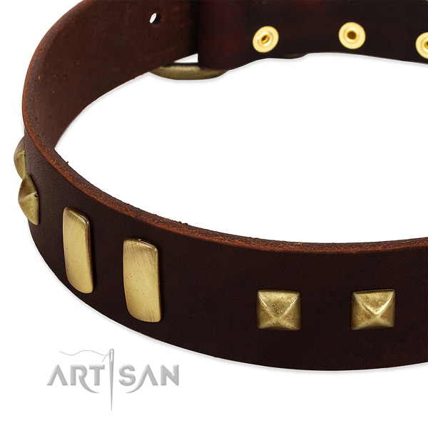 Reliable leather dog collar with studs for handy use