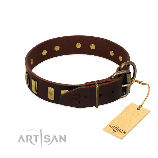 Natural leather dog collar with rust resistant traditional buckle for stylish walking