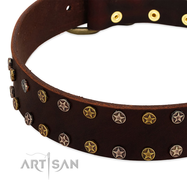 Walking genuine leather dog collar with unique embellishments