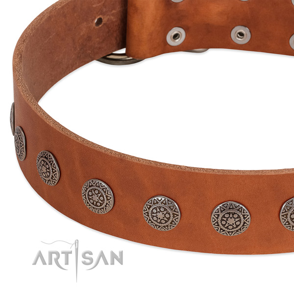 Awesome collar of leather for your canine