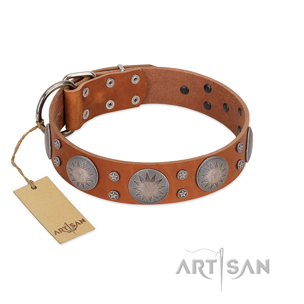 Inimitable leather collar for your impressive four-legged friend
