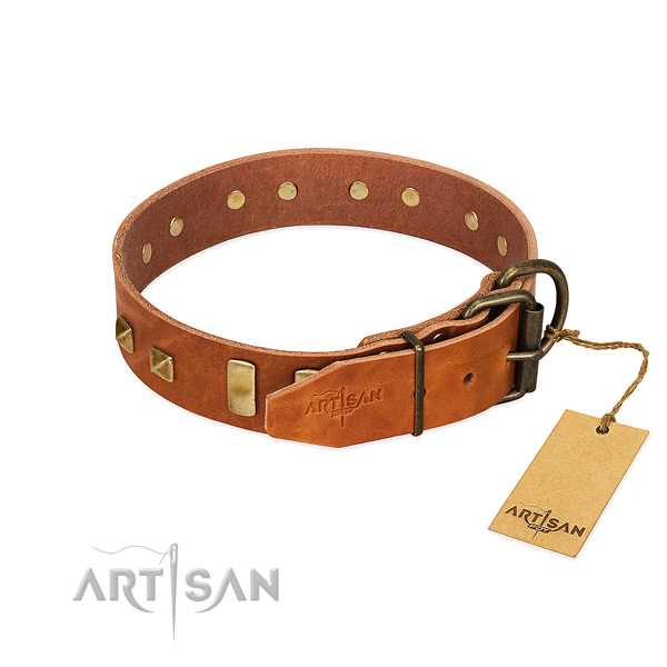 Quality natural leather dog collar with strong hardware