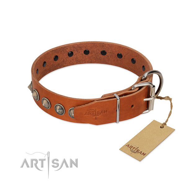 Stunning decorated full grain leather dog collar for everyday use