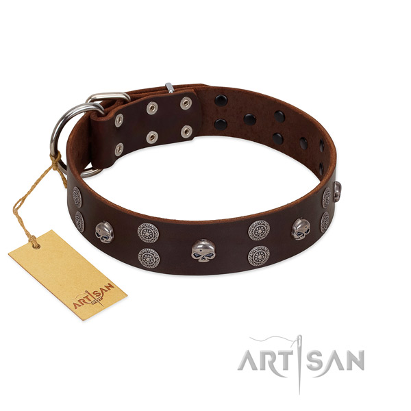 Everyday walking embellished genuine leather collar for your four-legged friend
