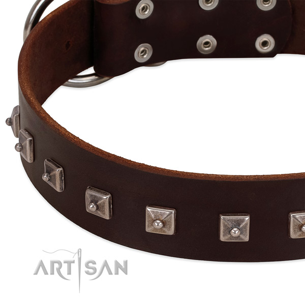 Soft genuine leather collar with studs for your four-legged friend