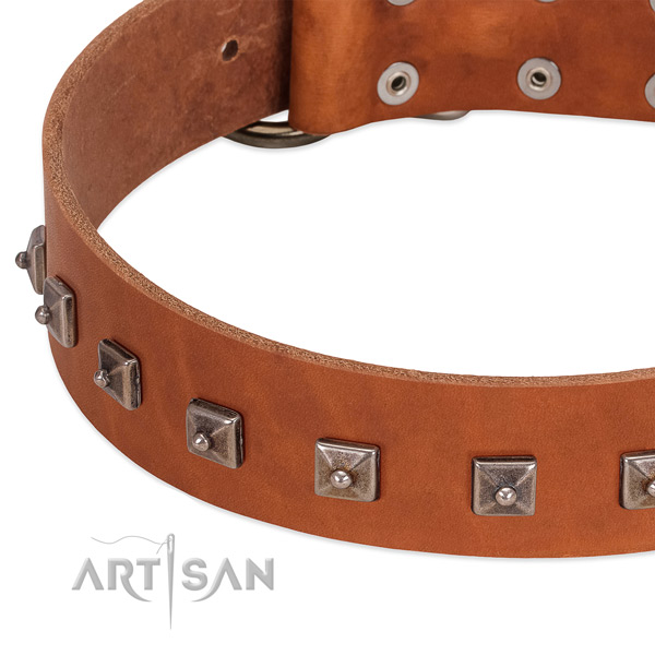 Top notch full grain leather dog collar with impressive adornments