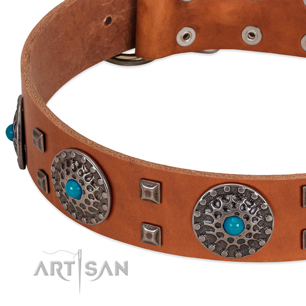 Gentle to touch leather dog collar with extraordinary embellishments