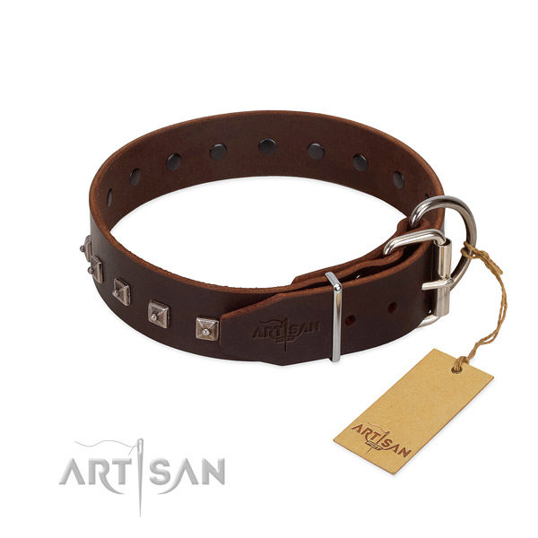 Impressive natural leather collar for your four-legged friend