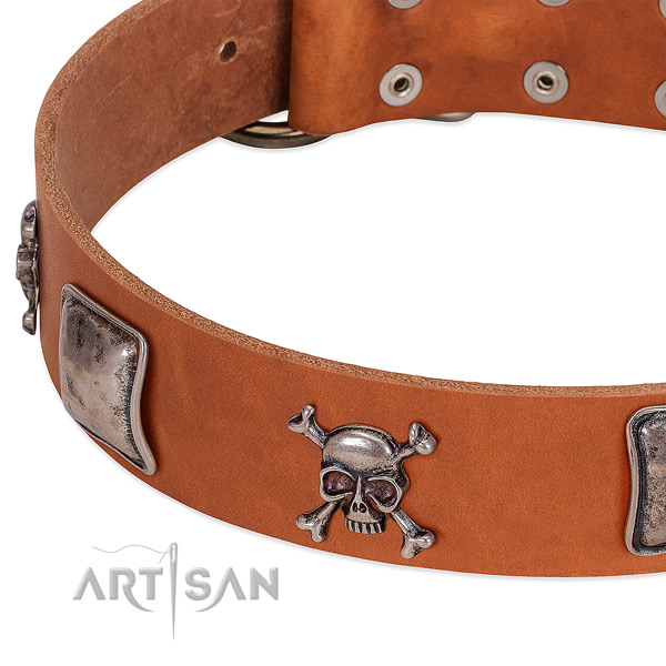 Reliable hardware on genuine leather dog collar