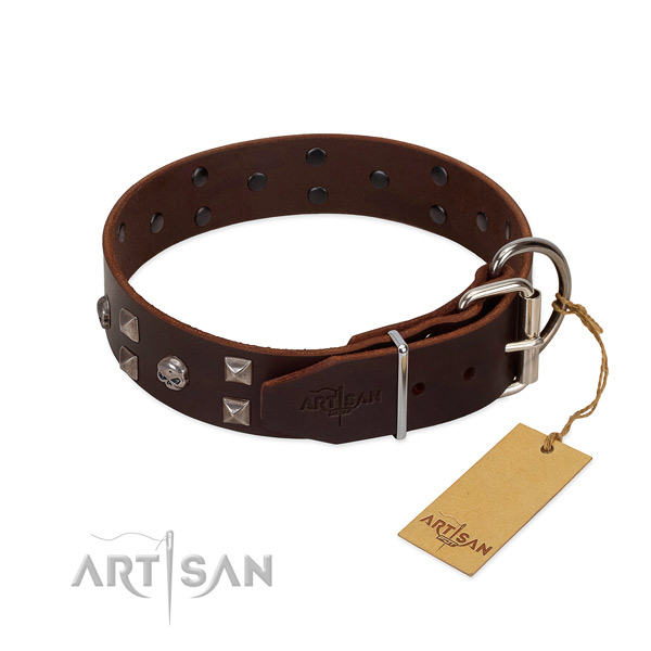 Designer full grain genuine leather dog collar with corrosion proof hardware