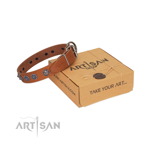 Corrosion proof buckle on genuine leather dog collar for daily walking your canine