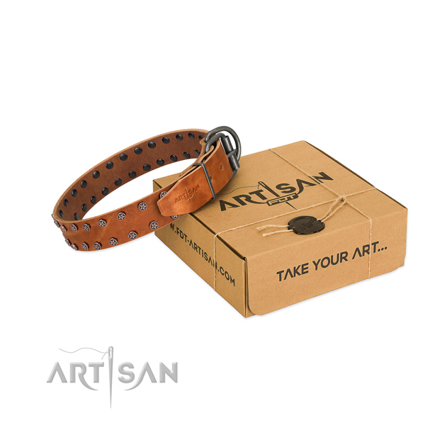 Flexible leather dog collar with adornments for your attractive doggie