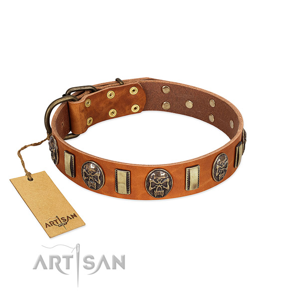 Unique full grain leather dog collar for everyday walking