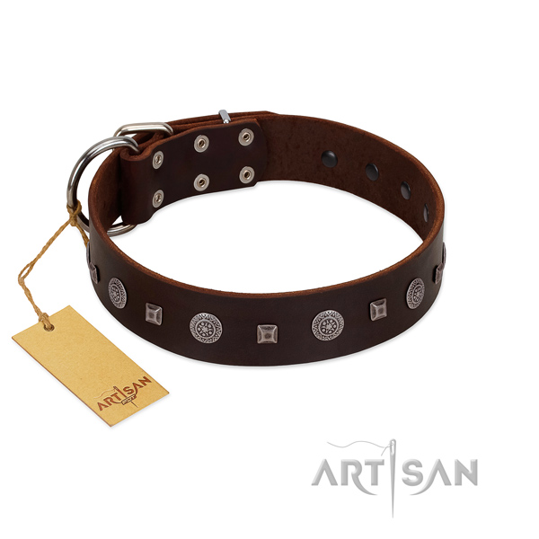 Walking flexible full grain natural leather dog collar with embellishments