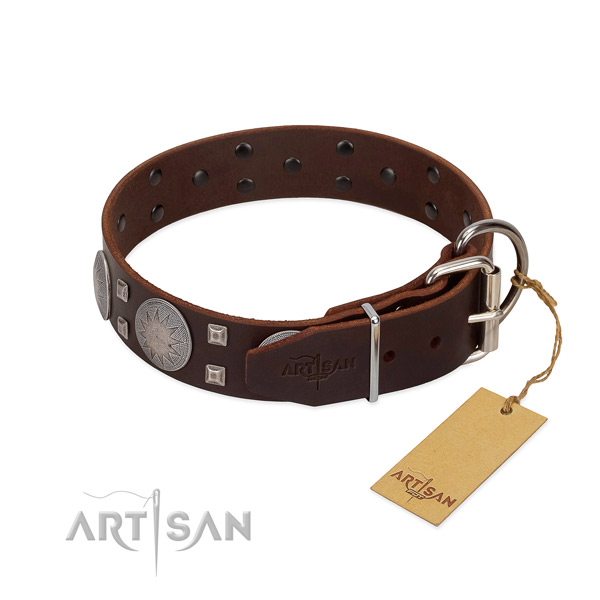 Impressive genuine leather dog collar for walking in style your four-legged friend