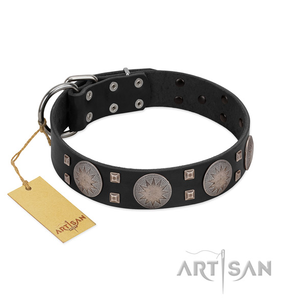 Top notch leather dog collar for walking your doggie