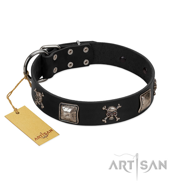 Designer adorned genuine leather dog collar