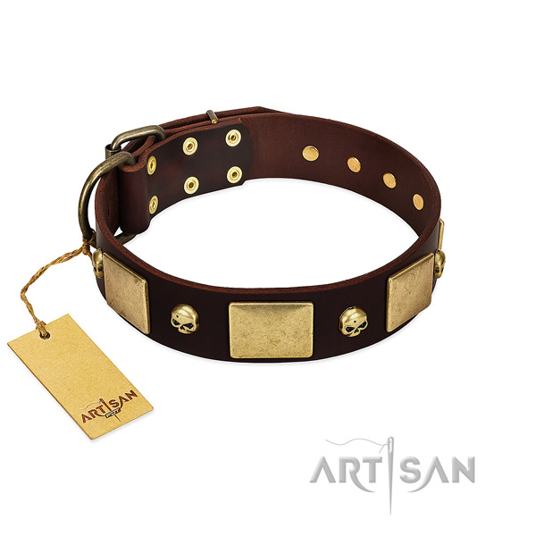 Top rate full grain leather dog collar with corrosion proof adornments