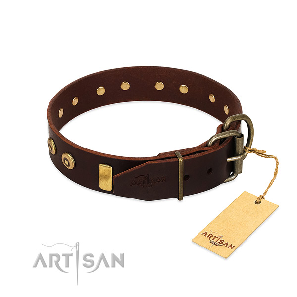 Strong full grain leather dog collar with unusual studs