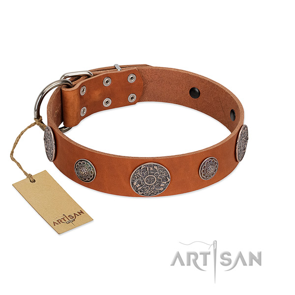 Unusual full grain leather collar for your attractive pet