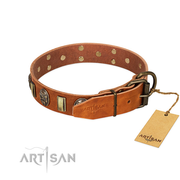 Full grain leather dog collar with strong fittings and embellishments