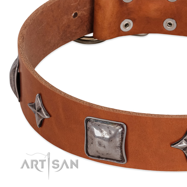 Best quality full grain genuine leather dog collar with reliable fittings