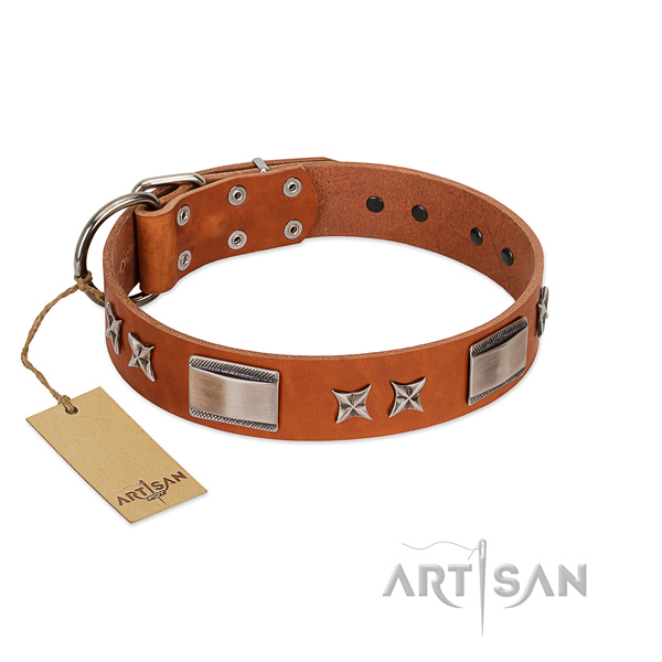 Top rate leather dog collar with durable D-ring