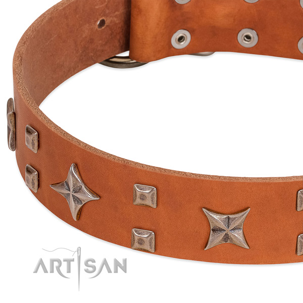 Corrosion resistant D-ring on full grain genuine leather collar for walking your dog