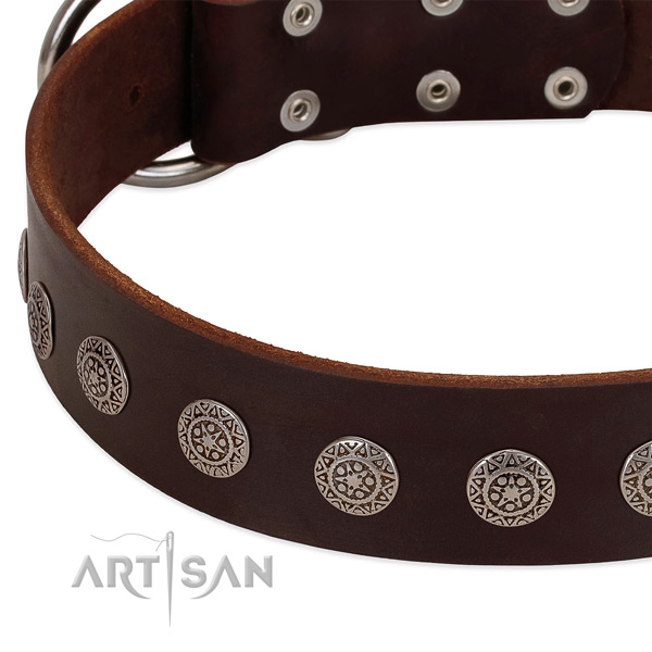 Amazing dog collar of leather with adornments