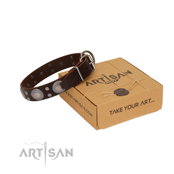 Extraordinary decorated full grain natural leather dog collar for stylish walking