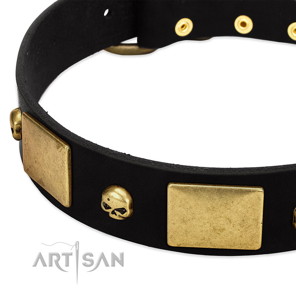Perfect fit genuine leather collar for your impressive pet