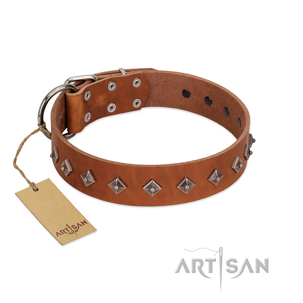 Genuine leather dog collar with extraordinary embellishments crafted canine