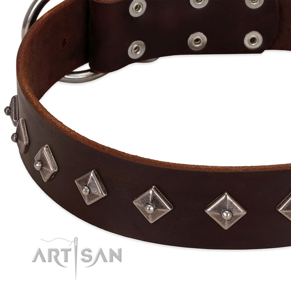 Embellished collar of leather for your lovely four-legged friend